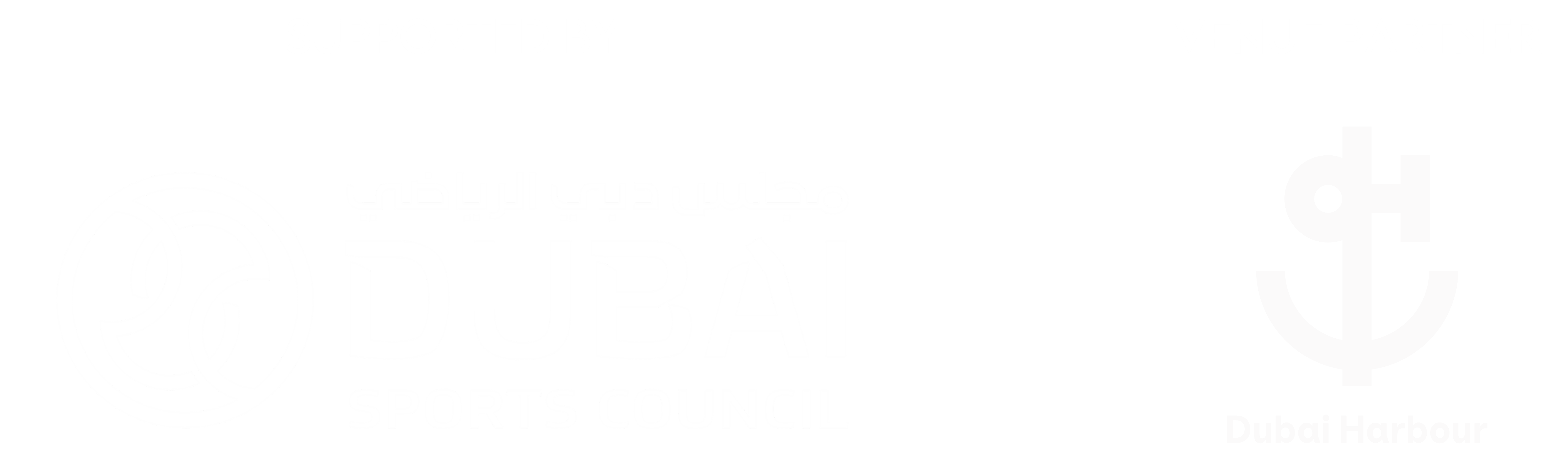 DSC Logo